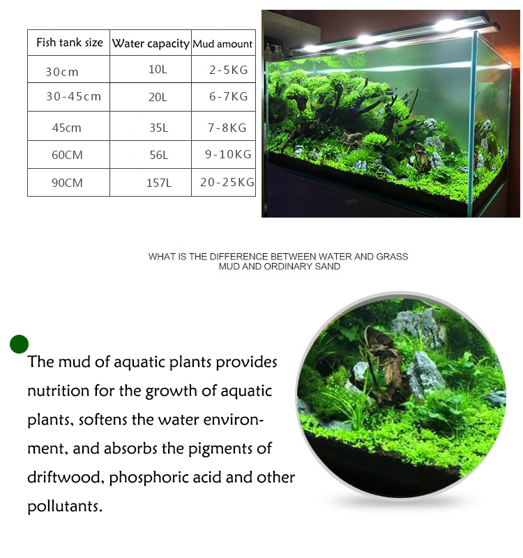 Bibit Tanaman Akuarium Tanah T - Planted Aquarium Moss ulasan dan harga