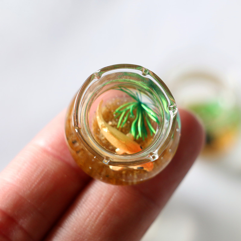 1 buah 1:12 simulasi rumah bon - Planted Aquarium Models ulasan dan harga