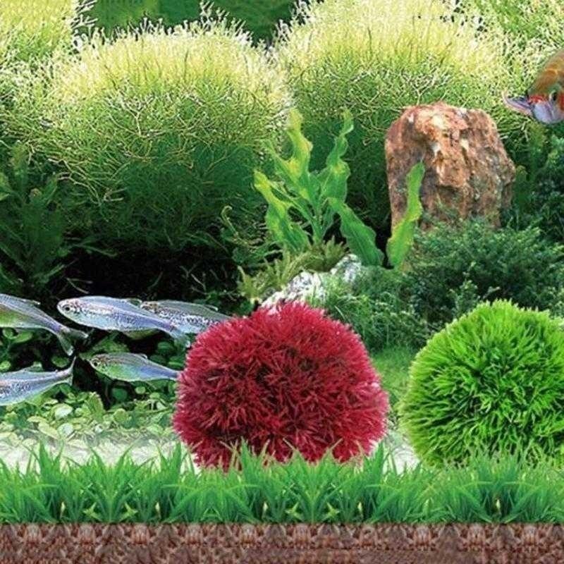Tanaman Plastik Akuarium Buata - Aquarium Plant Rings ulasan dan harga