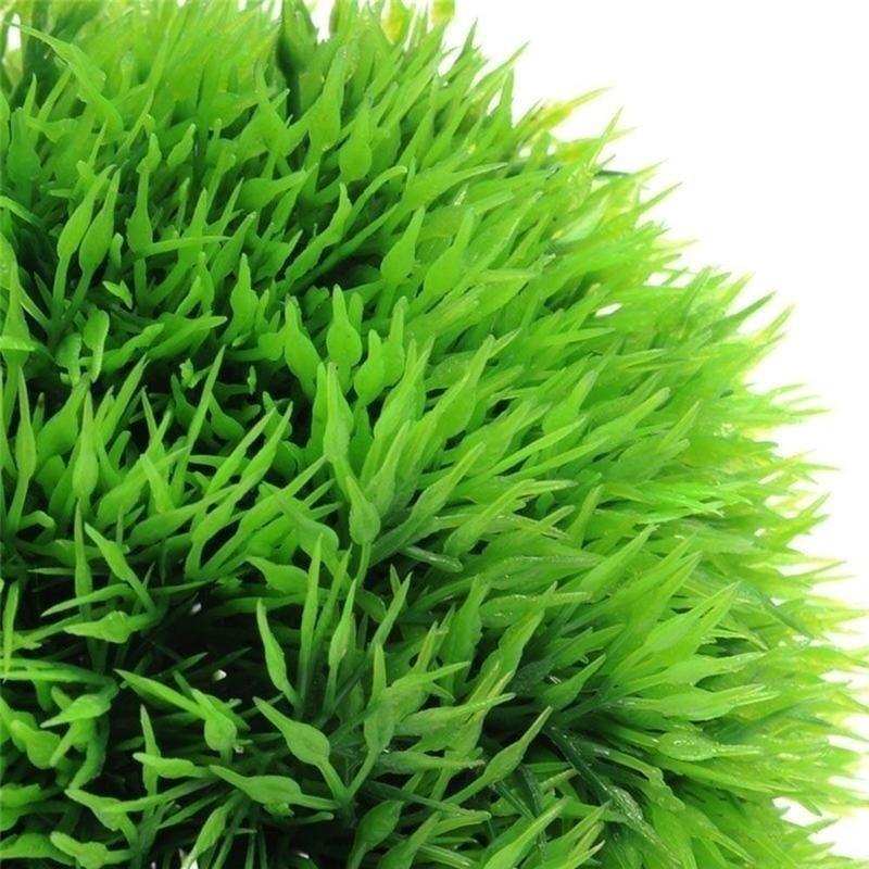 Tanaman Plastik Akuarium Buata - Aquarium Plant Rings ulasan dan harga