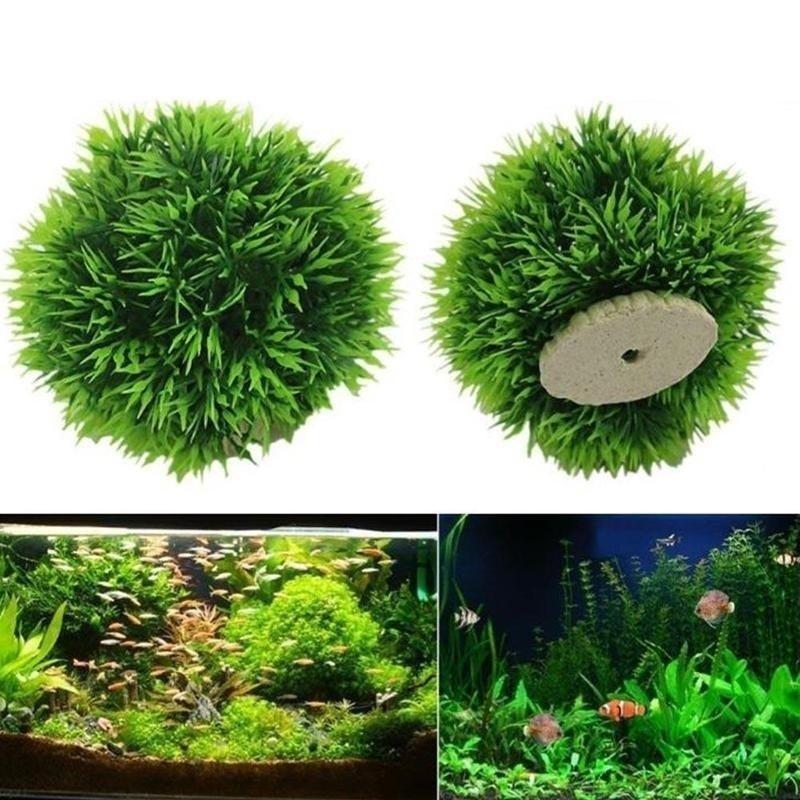 Tanaman Plastik Akuarium Buata - Aquarium Plant Rings ulasan dan harga
