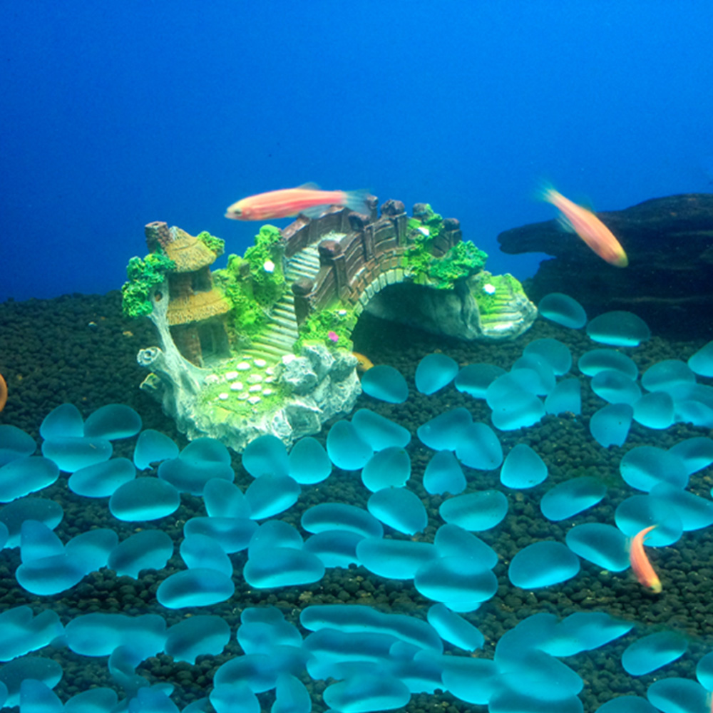 Aksesori akuarium pohon Arbor  - Planted Aquarium With Rocks ulasan dan harga
