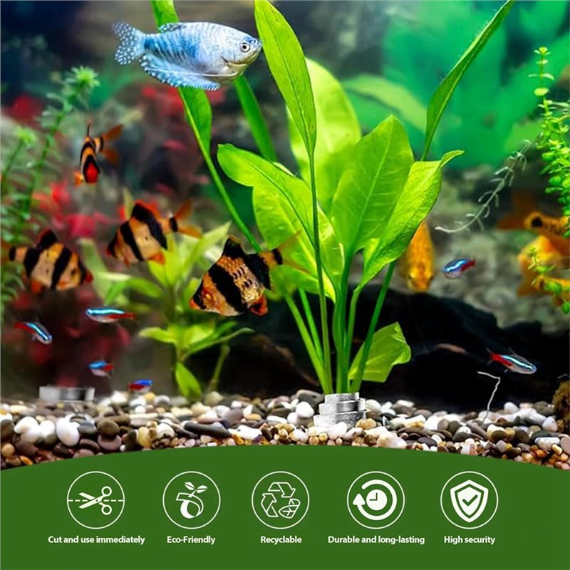 LLCS-Plant Fixed Ring Base Unt - Aquarium Plant Rings ulasan dan harga