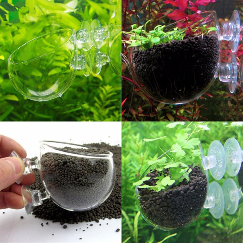 Akuarium Pot tanaman gantung g - Planted Aquarium Moss ulasan dan harga