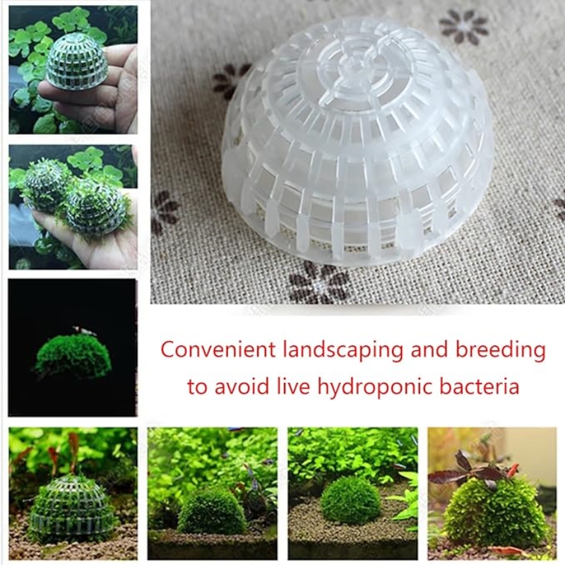 2 buah pemegang bola lumut aku - Planted Aquarium Models ulasan dan harga